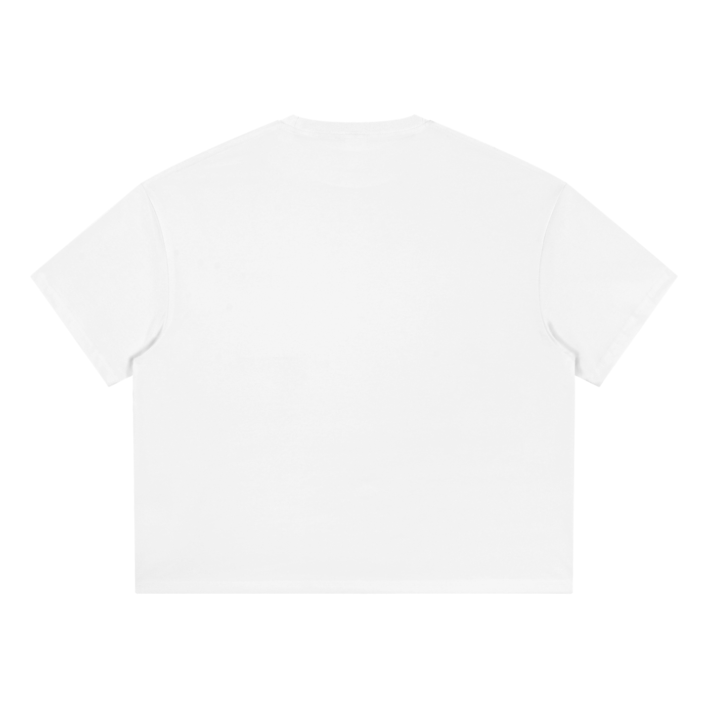 sport,sporting,goods,alexandre,maison,tee,boxy